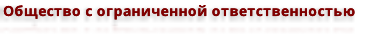 Общество с ограниченной ответственностью 

